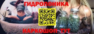 индика Дубна