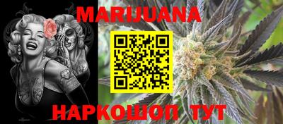индика Дубна