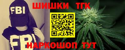индика Дубна