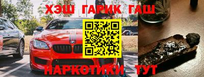 индика Дубна