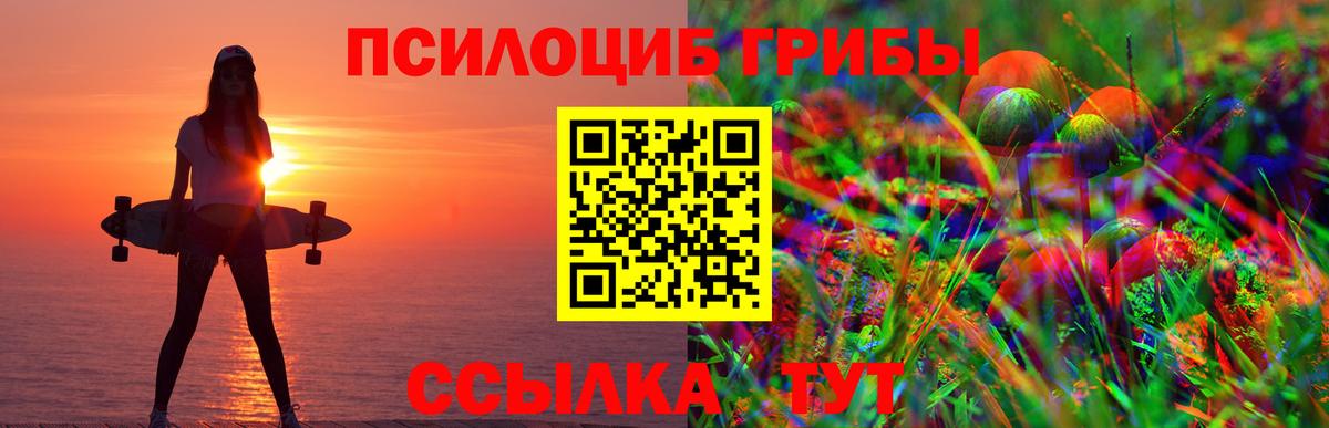 Псилоцибиновые грибы мицелий Нижнекамск
